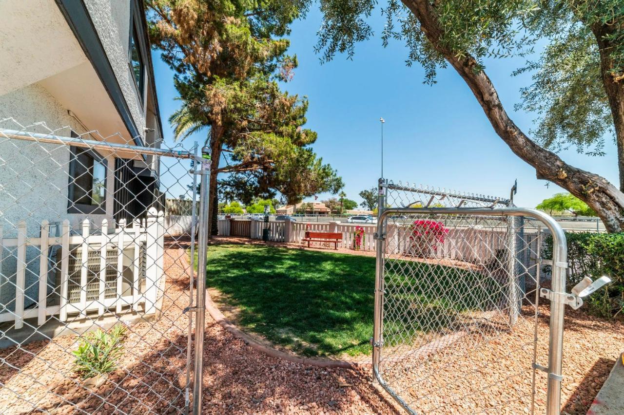 Metro Phx Downstairs Studio Sleeps 4 Ada Accessible Phoenix Buitenkant foto