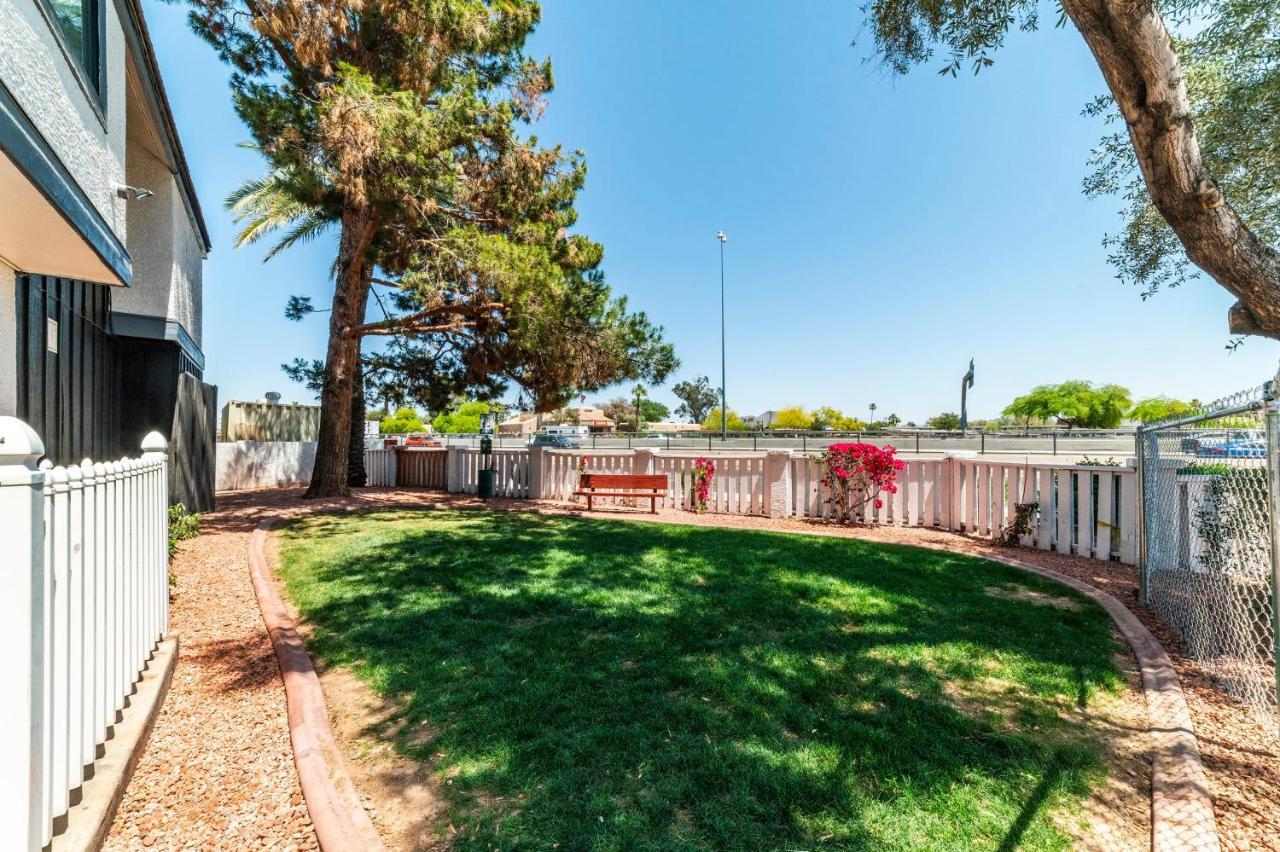 Metro Phx Downstairs Studio Sleeps 4 Ada Accessible Phoenix Buitenkant foto
